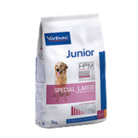 JUNIOR Dog Special Large - Razas medianas y grandes